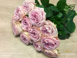 ROSE PATCHOULI 50